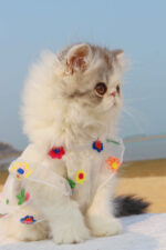 Mesh Flower Embroidery Dress Cat Clothes - Image 5
