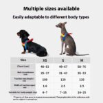 Pet Dog Walking Chest Strap And Traction Rope Set - Image 3