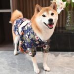 Creative Printing Cotton Pet Dog Clothes - Image 2