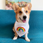 Pet Rainbow Triangle Scarf Dog Saliva Towel - Image 5