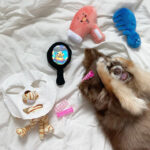 Three-piece Dog Toy Set With Washing Blowing And Haircutting - Image 4