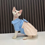 Hairless Cat Polka Dot Bow Skirt - Image 2