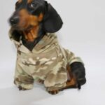 Camouflage Velvet Padded Hooded Sweatshirt Double-sided Velvet Pet Clothes - Image 3