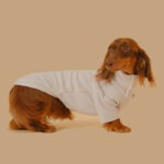 Pet Base Coat Dachshund Dog Clothing - Image 2