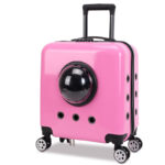 Space Capsule Bag Cat Carry Out Flight Case - Image 6