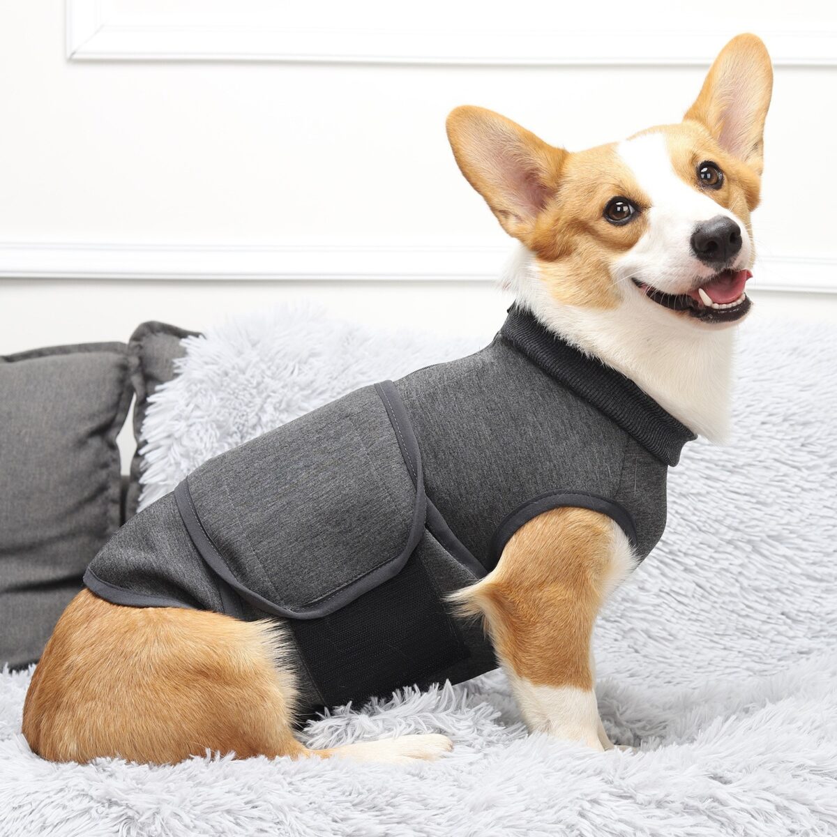 Pet Polyester Emotional Comfort Cotton Double Jacket Clothes - Image 1