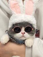 Cat Lion Headgear Cat Hat Cute Funny Pet Photo Props - Image 2