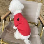 Dog Cat Autumn And Winter Warm Pet Sweater Small And Medium Solid Color Cardigan - Image 4