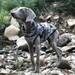 Winter Warm Camouflage Big Dog Shell Jacket Waterproof Reflective Cotton-padded Coat - Image 8