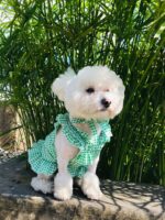 Creative Plaid Dog Dress Set - Image 8