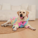 Tie-dyed Rabbit Fur Rainbow Color Dog Pattern Sweater - Image 3