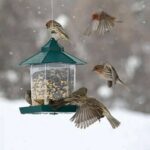 Outdoor Balcony Waterproof Hanging Bird Feeder - Image 9