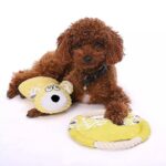 Dog plush molar doll bear pet training toy