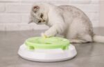 Electric funny cat tray toy - Image 2