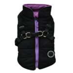Dog zipper jacket - Image 2
