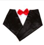 Wedding tuxedo big dog triangle scarf large dog golden hair ancient animal handsome pet scarf scarf - Image 6