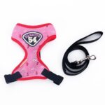 Pet Sling Nylon Collar Traction Rope - Image 5