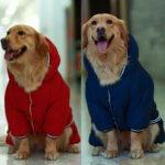 Medium And Large Dog Samo Husky Pet Big Dog Cotton Coat - Image 2