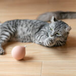 Funny cat electric cat toy - Image 2