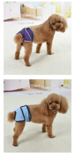 Pet Dog Simple Velcro Physiological Pants - Image 9