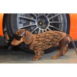 Clothes Medium And Large Puppy Casual Brown Letter Sweater - Image 7