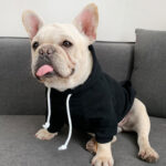 Pet with fleece hoodie - Image 2