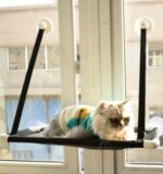 Cat bed cat hammock cat hammock window sill single layer double layer super suction cup cat cushion nest cat litter pet - Image 5