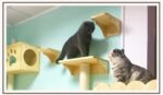 Wall-mounted wooden cat litter - Image 4
