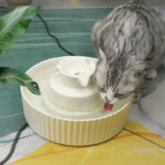 Cake ceramic pet water dispenser - Image 4