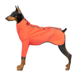 Dog Clothing With Traction Hole Reflective - Image 4