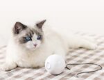Smart Automatic Interactive Cat Toy Ball - Image 2