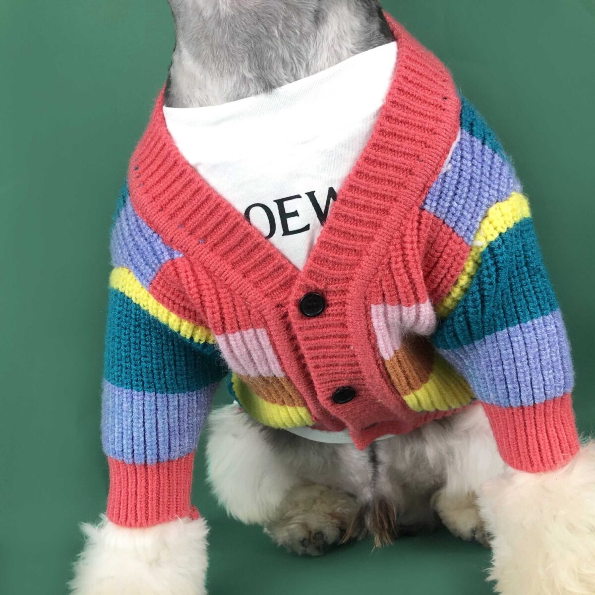 Dog Rainbow Striped Cardigan - Image 5