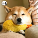 Fried Shrimp Tempura Dog Pet Chew Bite Squeaky Toy Cute Stuffed - Image 4