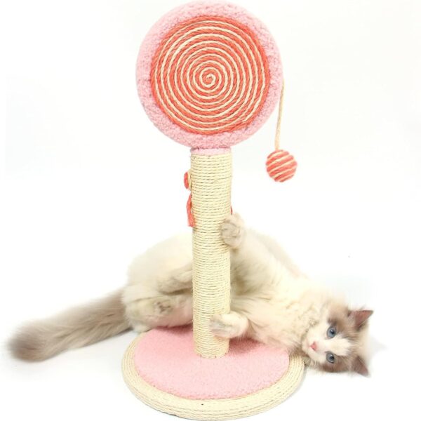 Cat Scratching Post  Cute Kittens Scratch Posts With Hanging Ball Sturdy Post Stable Base Ideal For Indoor Cats Small Large Sizes Kitty Available