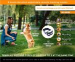 Electric Dog Fence - Image 2