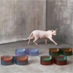 Large Capacity Anti-overturning Cool Color Double Bowl