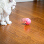 USB laser funny cat toy - Image 8