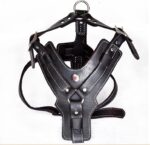 Genuine Leather Dog Harness - Image 5