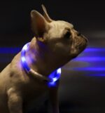 Pet Light Collar Anti-Lost Collar for Dogs Pet Collars - Image 3
