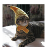 Creative design banana pet hat - Image 5