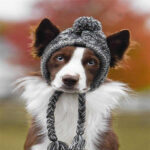 Pet dog autumn and winter woolen hat - Image 4