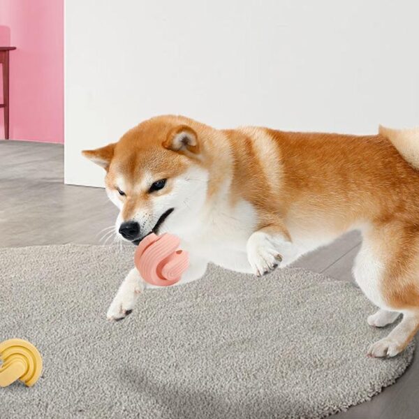 Rubber Dog Molars Teeth Relief Bouncy Ball