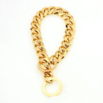 Stainless Steel Pet Casting Coarse Traction Chain - Image 5