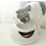 Automatic water dispenser - Image 4