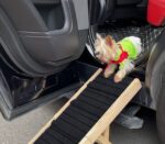 Wooden Adjustable Pet Dog Ladder Foldable Portable Non-slip Ramp - Image 6
