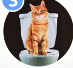 Pet Toilet Trainer catsCeaningTrainingToilet Supplies with Toilet Seat Lighting - Image 6