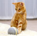 Cat toy bouncing ball - Image 3