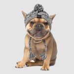 Winter Fashion Dog Hat Windproof Fluffy Knitted Polar Pom Hat - Image 4