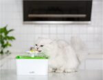 Cat filter drinking fountain - Image 5