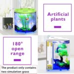 Ecological acrylic fish tank - Image 5